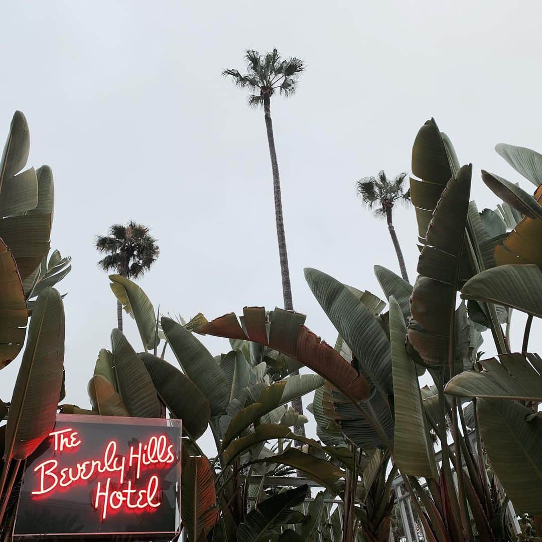 マイロ・ヴィンティミリアのインスタグラム：「Beverly Hills, CA. MV」