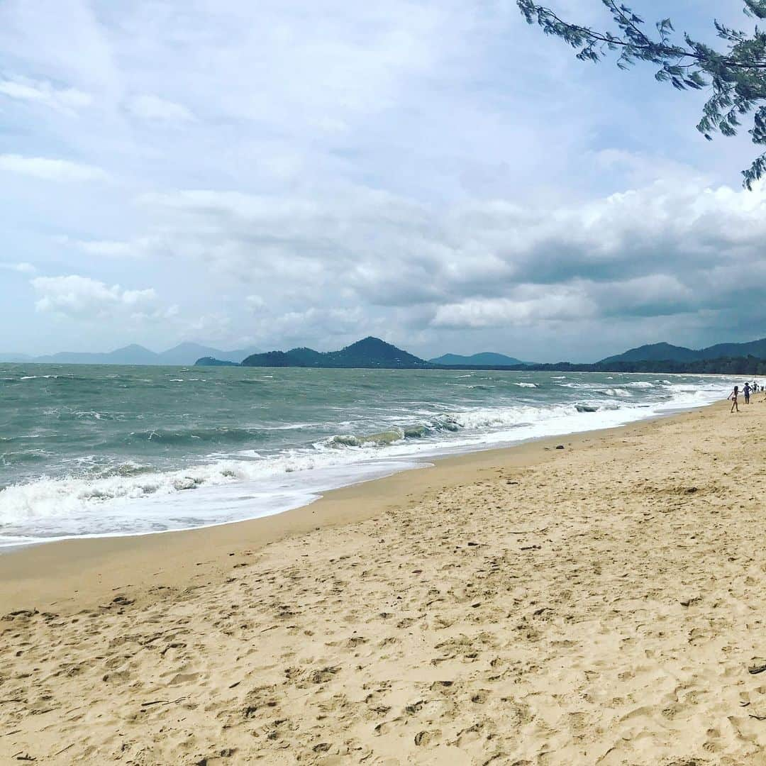 ドリュー・ネイラーさんのインスタグラム写真 - (ドリュー・ネイラーInstagram)「Tough little Wednesday. Palm Cove, Cairns」10月2日 9時17分 - drewnaylor54