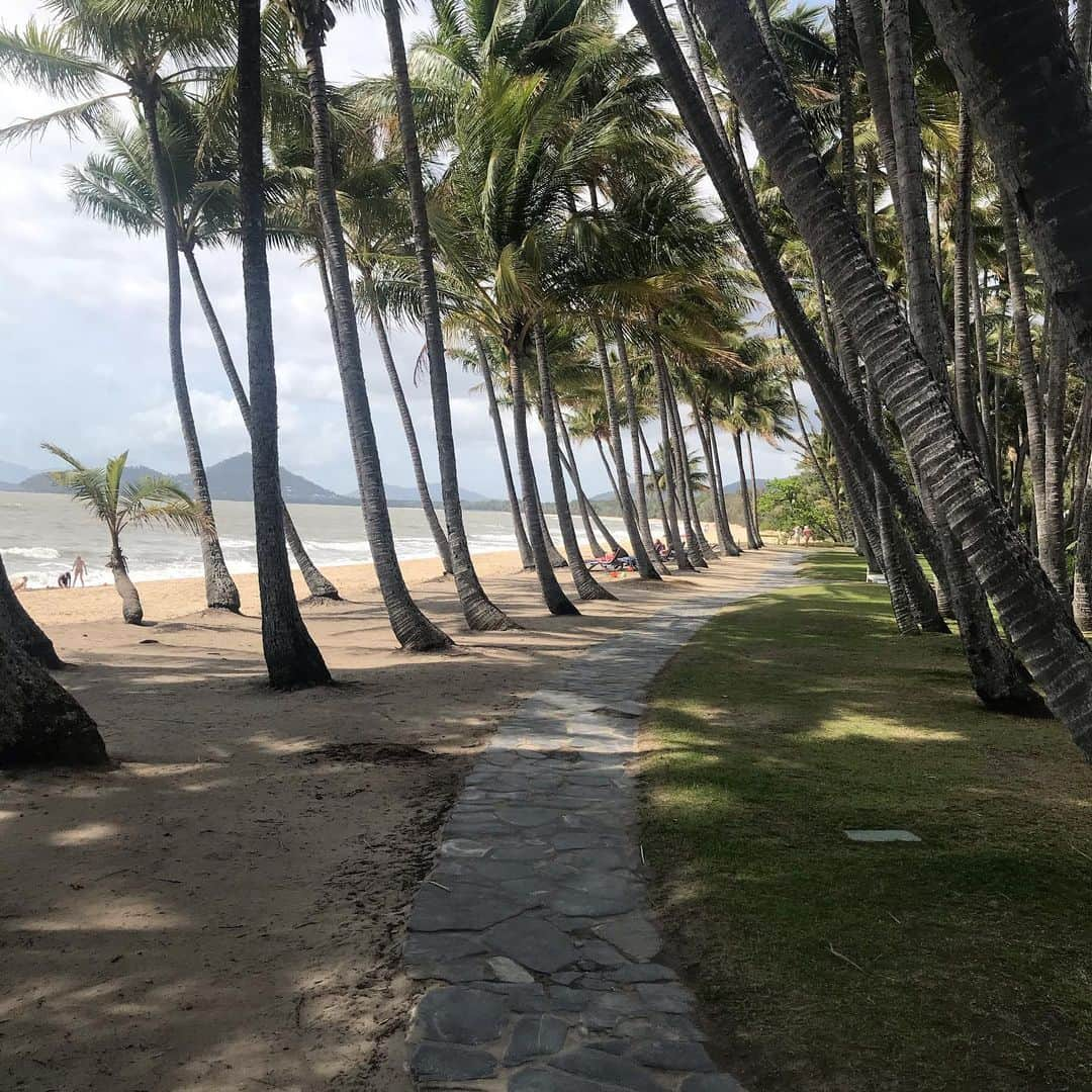 ドリュー・ネイラーのインスタグラム：「Tough little Wednesday. Palm Cove, Cairns」