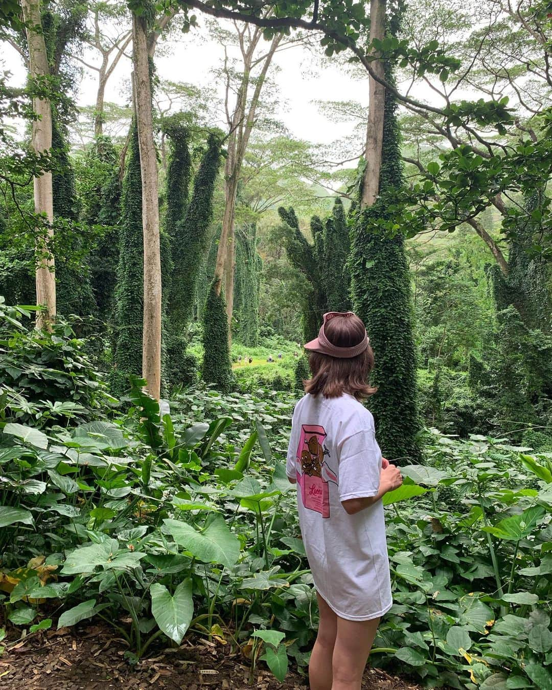 ひこ乃さんのインスタグラム写真 - (ひこ乃Instagram)「🌳⠀ ⠀ ハワイの上の方にある、ジャングルを越えた先にあった素晴らしい滝✨💗⠀ ⠀ そして私が着てるTシャツ！笑 ハワイの揚げパンこと、マラサダが書かれています。笑 マラサダ大好きで、ハワイで揚げたて沢山食べたんだけどあんまり太らなかった😳 それは行く前に @sbeautyclinic でセルライトのケアして行ったからと思われる！！行っといて良かった💗  レナーズのマラサダT可愛くない？笑 ジャングルにいた人たちに、マラサダ ガ〜ル！ってめっちゃ言われた笑🤣💗⠀ ⠀ #manoa#manoafalls#エスビューティークリニック#医療痩身#アンチエイジング#レーザートーニング#코디룩#코디그램#소통#소통해요 #코디네이트#코디#코디스타그램#베이지#베이지코디#데일리코디」10月2日 9時43分 - hikono0909