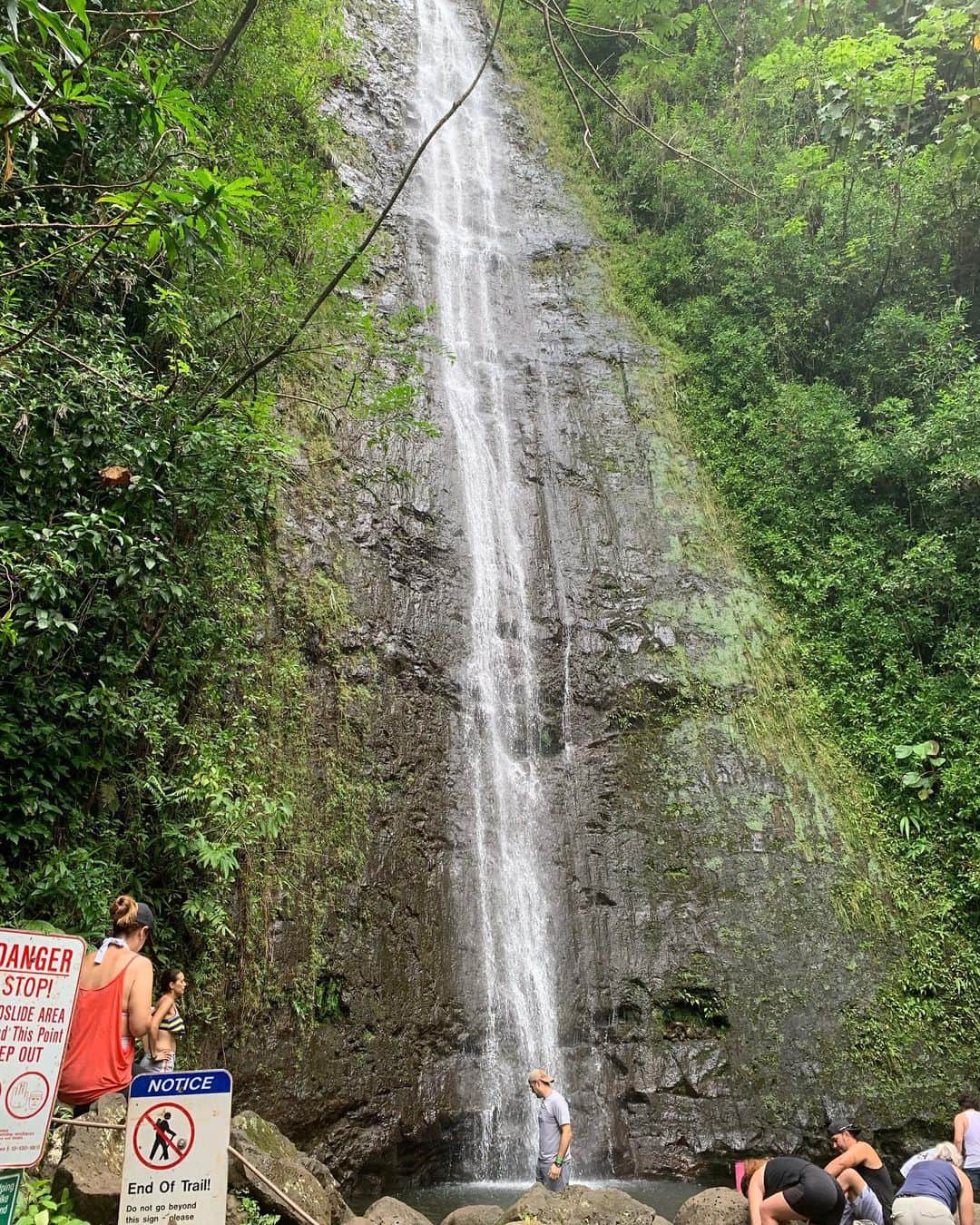 ひこ乃さんのインスタグラム写真 - (ひこ乃Instagram)「🌳⠀ ⠀ ハワイの上の方にある、ジャングルを越えた先にあった素晴らしい滝✨💗⠀ ⠀ そして私が着てるTシャツ！笑 ハワイの揚げパンこと、マラサダが書かれています。笑 マラサダ大好きで、ハワイで揚げたて沢山食べたんだけどあんまり太らなかった😳 それは行く前に @sbeautyclinic でセルライトのケアして行ったからと思われる！！行っといて良かった💗  レナーズのマラサダT可愛くない？笑 ジャングルにいた人たちに、マラサダ ガ〜ル！ってめっちゃ言われた笑🤣💗⠀ ⠀ #manoa#manoafalls#エスビューティークリニック#医療痩身#アンチエイジング#レーザートーニング#코디룩#코디그램#소통#소통해요 #코디네이트#코디#코디스타그램#베이지#베이지코디#데일리코디」10月2日 9時43分 - hikono0909