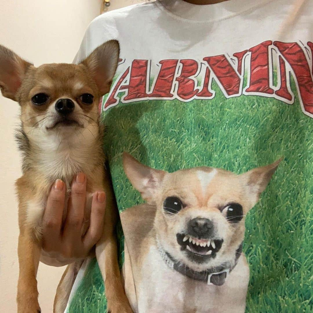 長澤メイさんのインスタグラム写真 - (長澤メイInstagram)「メイは最高で最強な KAWAII Tシャツを GETした！🥺🔥 バックプリントに @ponzu322 いたわ😂💘 お気に入りに決定🦋✨ @dogsoji.tokyo  ドックランに着てかなきゃ🔥 #mei_outfit」10月2日 10時53分 - xxmeixx1208