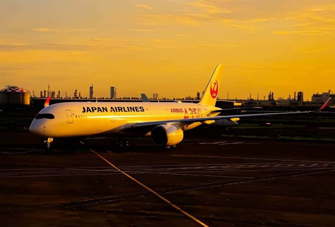 JALさんのインスタグラム写真 - (JALInstagram)「. Our Airbus A350 is now in service on the Haneda-Fukuoka route! Treat yourself to a trip!︎ #UncommonOctober  羽田－福岡線にてエアバスA350就航中！ たまには自分に旅のご褒美を✈︎ . . photo by @micchan_haneda Post your memories with #FlyJAL . #JapanAirlines #JAL_A350 #airbus #airplane #jal #A350」10月2日 17時29分 - japanairlines_jal