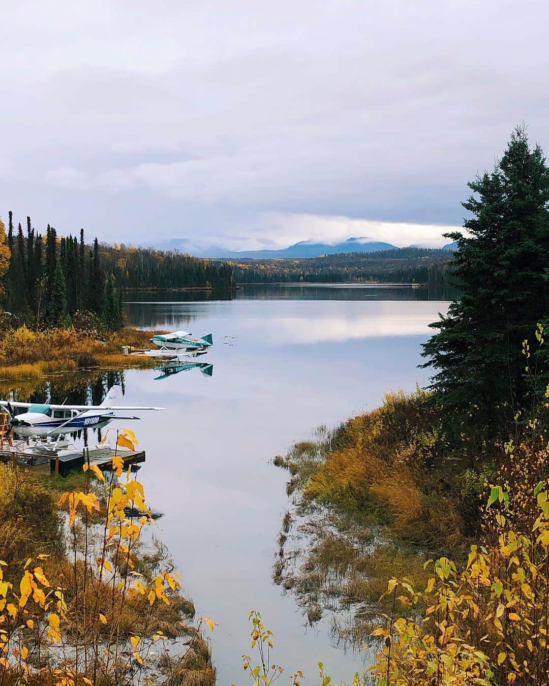 Grace Bonneyのインスタグラム：「My first full day in Alaska was full of moments like this: a view that made me stop the car, enjoy the view, and try (in vain) to capture the beauty. My camera (and photography skills) cannot do this nature justice. I’m doing my best to remember it all and store these incredible views in my mind and hear instead ♥️ Day one was Talkeetna (too rainy for a view of Denali, but lunch at the Roadhouse was 👍🏽), the Anchorage Museum (loved!) and the incredible craft shop at the Alaska Native Medical Center (thanks for the tip!)」