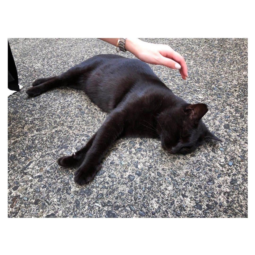 西島まどかさんのインスタグラム写真 - (西島まどかInstagram)「猫さわりたい…  写真はいつかの猫。 撫でさせてくれて最高でした。  慌てて鞄を地面に置いてごめんなさい。👜＜🐈 ．  #猫 #ねこ #cat #catstagram  #ねこすたぐらむ #黒猫 #顔見えないかわいい」10月2日 13時20分 - nishijima_madoka