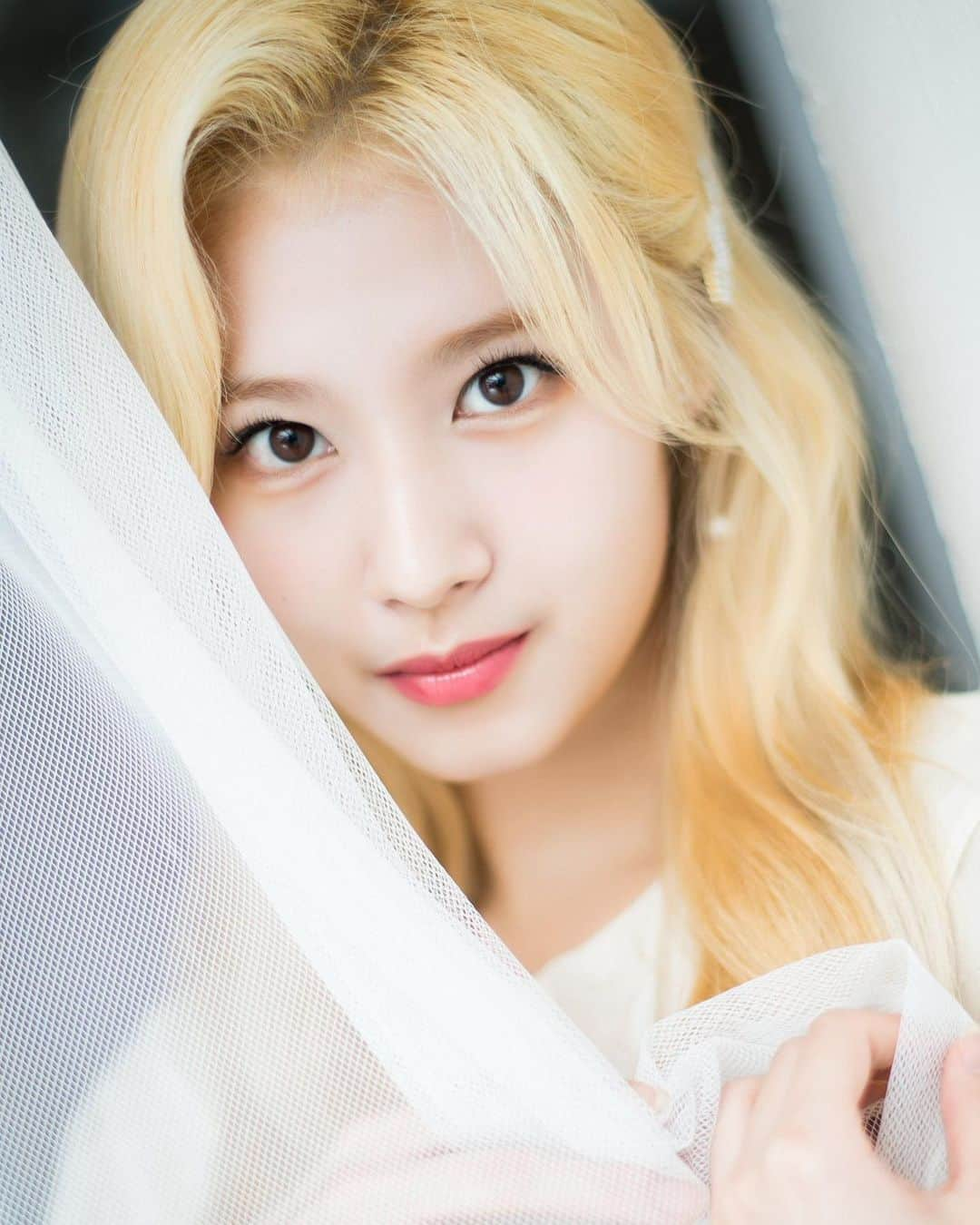 サナさんのインスタグラム写真 - (サナInstagram)「— : 🐿 ♩ #sana #sanaminatozaki #minatozakisana #사나 #jyp #feelspecial #nosananolife #kpop 190923 ♪ Naver X TWICE 8th Mini Album “Feel Special” [ © dispatch ]」10月2日 13時57分 - twicesana