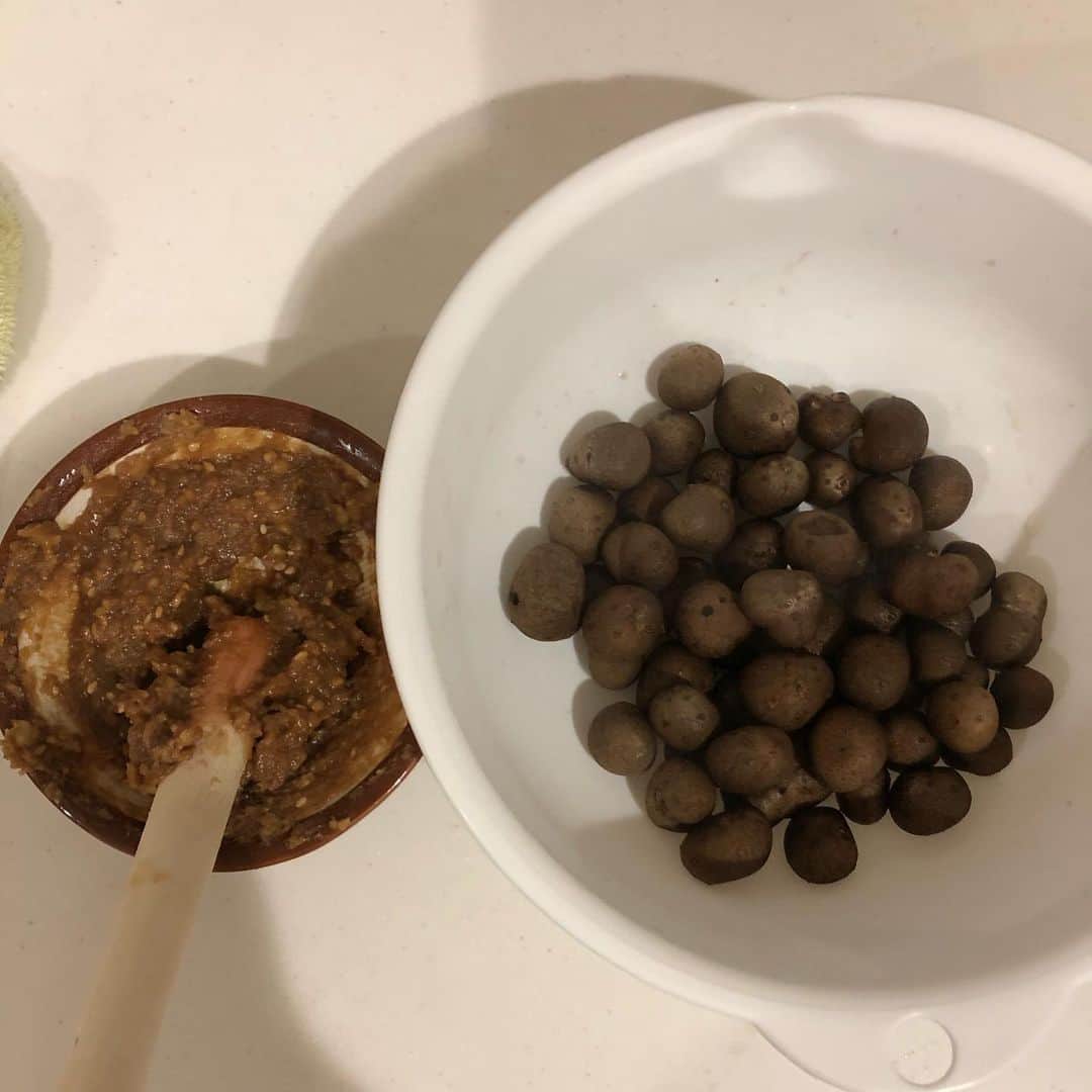 凰津りささんのインスタグラム写真 - (凰津りさInstagram)「和菓子通の先輩ママさんと #京都くりやの栗おはぎ  を買いに行きました🌰 . . この季節のみの栗おはぎは、 丹波栗の優しい甘みと、おはぎのちょっとだかの塩味がなんとも言えぬ秋の風味。 . 言うまでもなく家に着く前に完食。 . あと #旬の駅 ってところの色んな食材を見に行った‼️ . 珍しい野菜も沢山あってワクワクが止まらなかった✨ 私すっかり主婦ですww . この日は、利直の離乳食のために、 ピーナッツカボチャ ほうれん草 紫芋 . そしてムカゴ‼️ 私ムカゴ大好きなのよ❤️ . ムカゴをくるみ味噌和えにして頂いたけど、アルコール止まらんな‼️ . . 沢山お料理の事や子育ての事教えて頂きお勉強になりましたっ‼️ . #むかごのくるみごま和え  は #小布施竹風堂 が最高にうんまい！！」10月2日 15時08分 - outsu.risa95