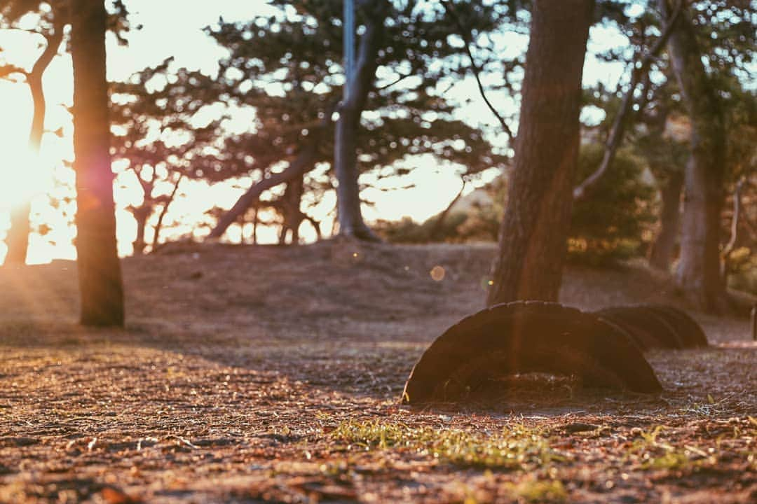 葉山町さんのインスタグラム写真 - (葉山町Instagram)「- じゃんけん負けたら最初からね  #葉山歩き #葉山 #hayama #一色海岸 #一色公園 #夕日 #公園 #Isshikibeach #Isshikipark #sunset #japantrip #なんか懐かしい #タイヤの遊具 #じゃんけん するのよくやった #負けたら最初に戻る #地味に盛り上がる #遊ぶ ときは #子どもの心 で #今日もおつかれさまでした」10月2日 17時41分 - hayama_official