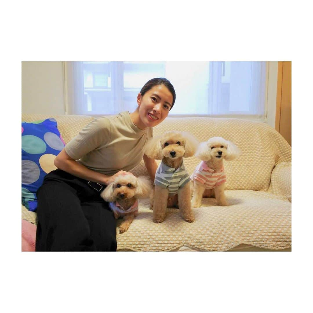 大橋悠依さんのインスタグラム写真 - (大橋悠依Instagram)「. このカワイイ子達を見てほしい🐩 フラン、レオン、ナナちゃん🥰 . #トイプードル #かわいすぎ #私の子達じゃないけど #溺愛」10月2日 18時12分 - yui_ohashi_