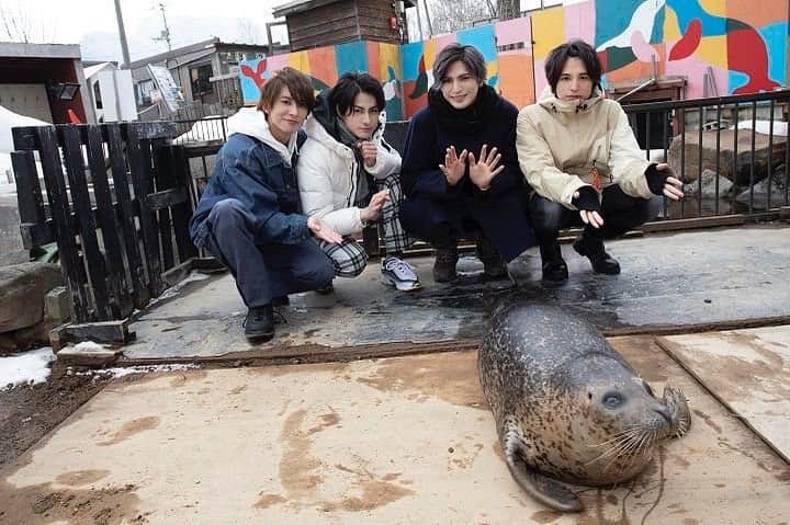 小波津亜廉のインスタグラム：「[2/10/19] THIS IS ADORABLE Allen looks like he’s air-pushing the seal!!! ⠀⠀⠀ ⠀ #kohatsuallen #kikuchishuji #takamotogaku #matsumuraryuunosuke ⠀⠀⠀ ⠀ Source: Tabimate’s twitter」