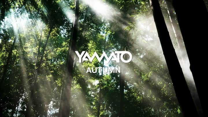 Yamatoのインスタグラム：「Yamato DJ performance - AUTUMN - Check out my new performance video with beautiful BAMBOO & New Track "ZEN". ♫Yamato - ZEN (Original Mix) #pioneerdj #dj #bamboo #japan #cdj2000nxs2 #cdj2000nexus2」