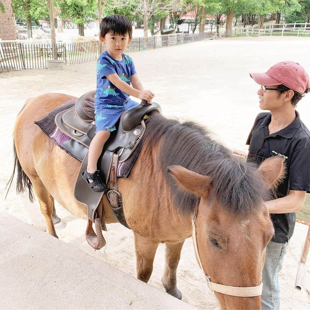 小堀ケネスさんのインスタグラム写真 - (小堀ケネスInstagram)「Went to Mt. Rokko with Grammy today.  Dean has rode a horse for the first time and had a great time at the farm! Sweet Dreams!😴 今日は六甲山で思いっきり遊んできました！ 初めてのお馬さんに乗ってテンションマックス！ 今夜もぐっすり眠れそうです！😌 #notdrunk #littledean #kobe #adventures #happykid #ディーン君 #神戸 #六甲山 #大好き #成長が本当に早いね😊  @mariakamiyama」10月2日 20時19分 - kenkob0903