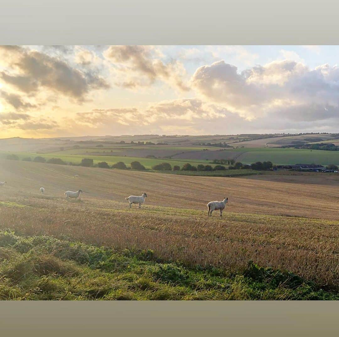 サッシャ・ロイズさんのインスタグラム写真 - (サッシャ・ロイズInstagram)「Magical wedding in the English countryside. Congratulations to Haydn and Helen. So happy to celebrate this day with you. #oldfriends #theboysofwoking #gsa」10月2日 20時28分 - mrsasharoiz