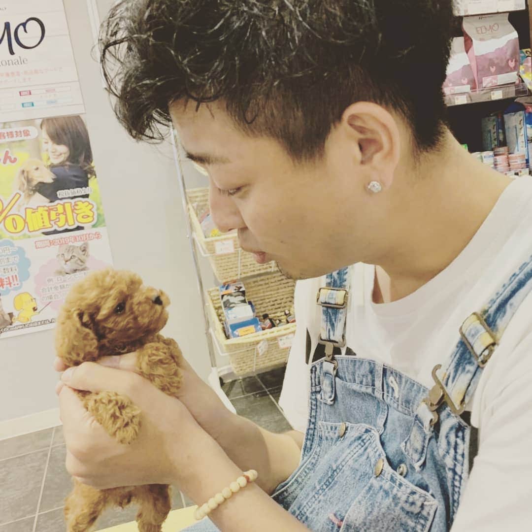 中村昌也のインスタグラム：「トイプードルを抱いた。。。 赤ちゃん。。。 可愛い過ぎる。。。 値段は可愛くなかった。。。 道にビールが落ちてた。。。 昼間から……、 ゴミ箱に捨てようか、悩む。。。 #また  #オーバオール #新たな企画」