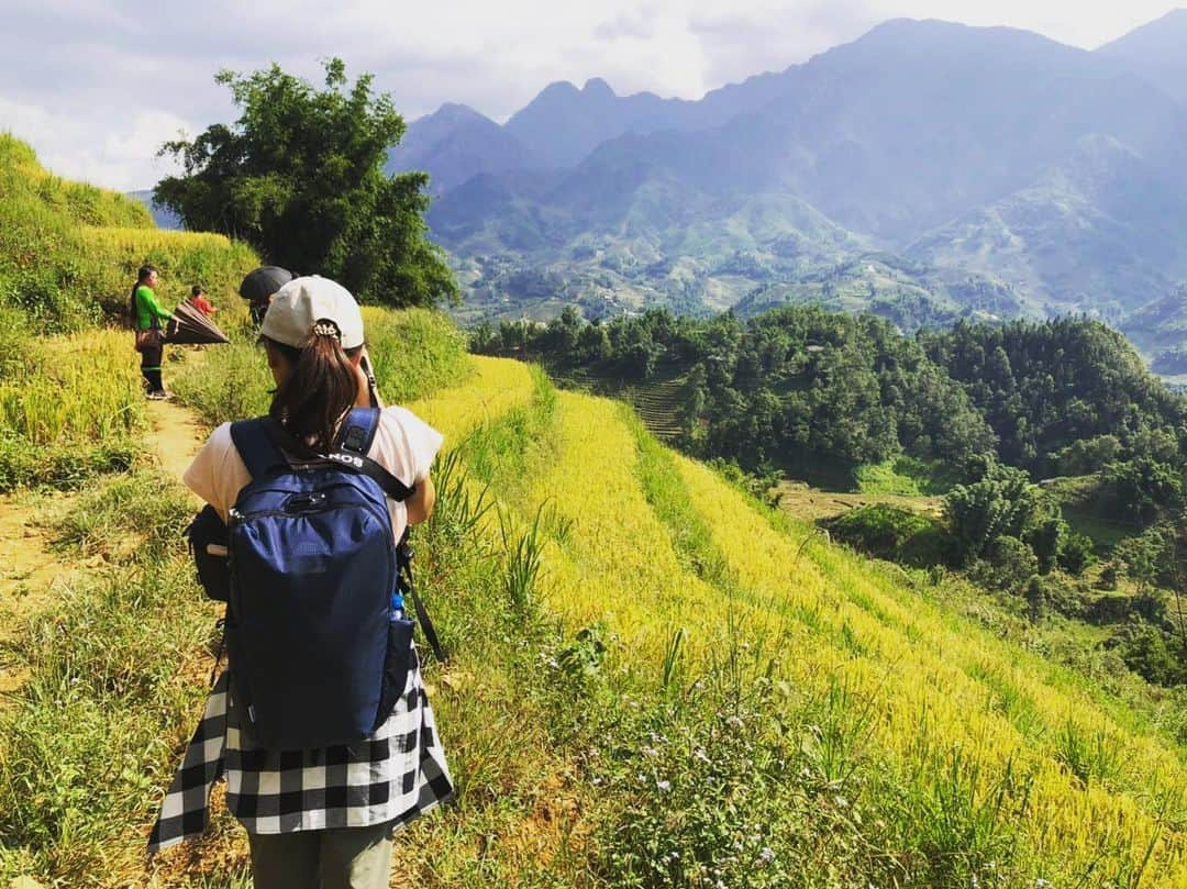 小林希さんのインスタグラム写真 - (小林希Instagram)「ベトナムのサパ の続きです。 ちょっと間が空いてしまいました💦 サパ の棚田のオススメは、ネットで調べても本当に情報がありません。 実際は、7,8月だそうです。 9月の終わりは、ちょうど刈りまくっているところ！ しかし、本当にまったく道がわからない。 一応道はあるけど、急に道なき道のところも、モン族のガイドさんがぐんぐん進んでいきます😂  #journey #viaje #voyage #travel #japan #旅 #旅女 #トラベル#週末海外#ベトナム#サパ #sapa#vietnam #pacsafe #エコオーシャン#pacsafe #aandfcountry」10月2日 22時44分 - nozokoneko