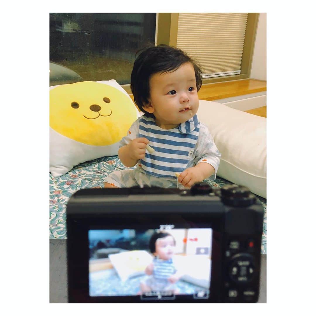 チョン・ソミンのインスタグラム：「까까 오물오물👼🏻 @baby10radish」
