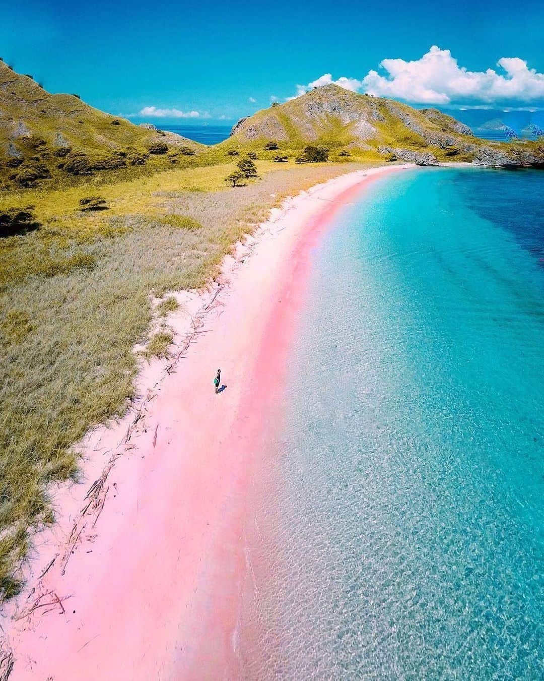 Earth Picsさんのインスタグラム写真 - (Earth PicsInstagram)「Pink Beach Komodo Island 💖 Photo by @hendrickhartono」10月2日 23時03分 - earthpix