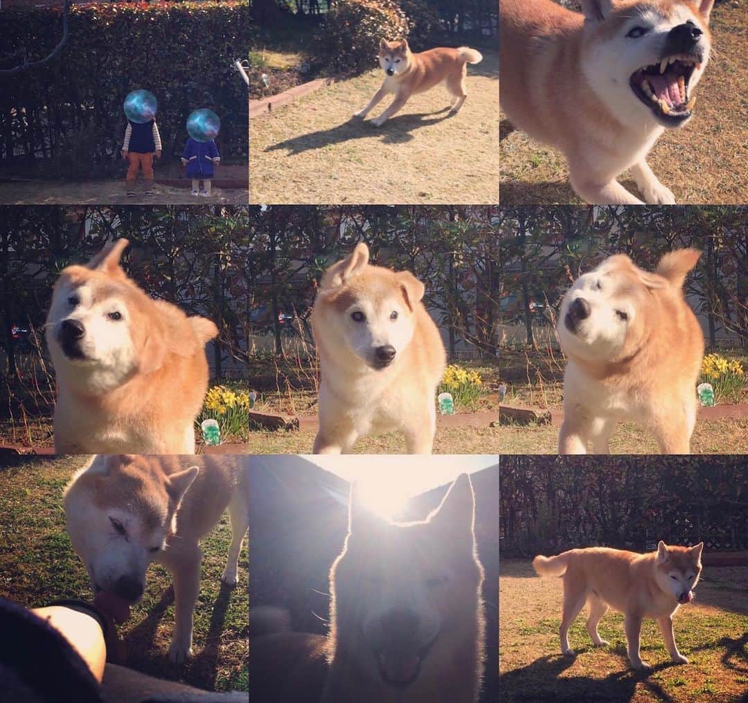 犬山紙子さんのインスタグラム写真 - (犬山紙子Instagram)「命」10月3日 11時29分 - inuyamakamiko