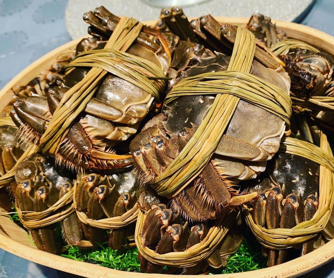杉浦太陽さんのインスタグラム写真 - (杉浦太陽Instagram)「上海で食べる上海蟹！  ちょうど旬の時期で、 蟹味噌も内子もたっぷり！  オスメス食べ比べで、 いい経験になりました〜〜！ @ #上海 #上海蟹 #オスメス食べ比べ #旬の時期は美味しかった #いい経験 #ラスト上海 #ありがとう上海」10月3日 11時41分 - sugiurataiyou_official