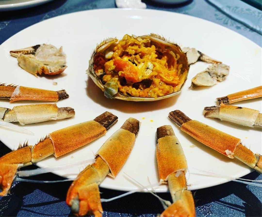 杉浦太陽さんのインスタグラム写真 - (杉浦太陽Instagram)「上海で食べる上海蟹！  ちょうど旬の時期で、 蟹味噌も内子もたっぷり！  オスメス食べ比べで、 いい経験になりました〜〜！ @ #上海 #上海蟹 #オスメス食べ比べ #旬の時期は美味しかった #いい経験 #ラスト上海 #ありがとう上海」10月3日 11時41分 - sugiurataiyou_official
