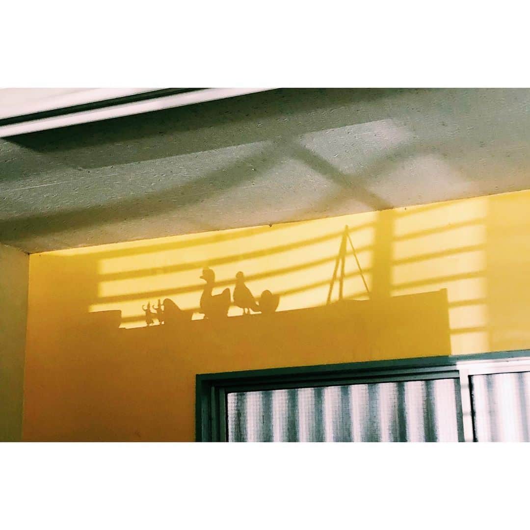 雪浦聖子さんのインスタグラム写真 - (雪浦聖子Instagram)「アトリエの壁がブレーメンの音楽隊みたいになってた。 構成がほぼ鳥。踊り子が少々。」10月3日 7時37分 - sneeuw_y