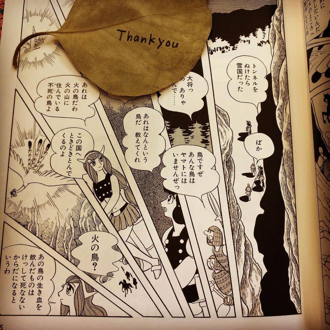 森田涼花のインスタグラム：「🤍」