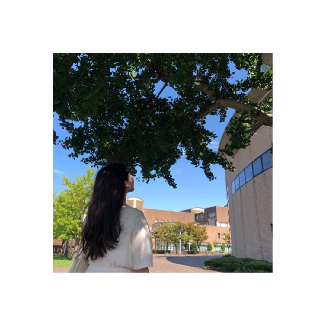 岩永亞美さんのインスタグラム写真 - (岩永亞美Instagram)「ただただ私の後ろ姿。 3枚目 何しとるって 銀杏見てる。」10月3日 9時03分 - tsugu_0510