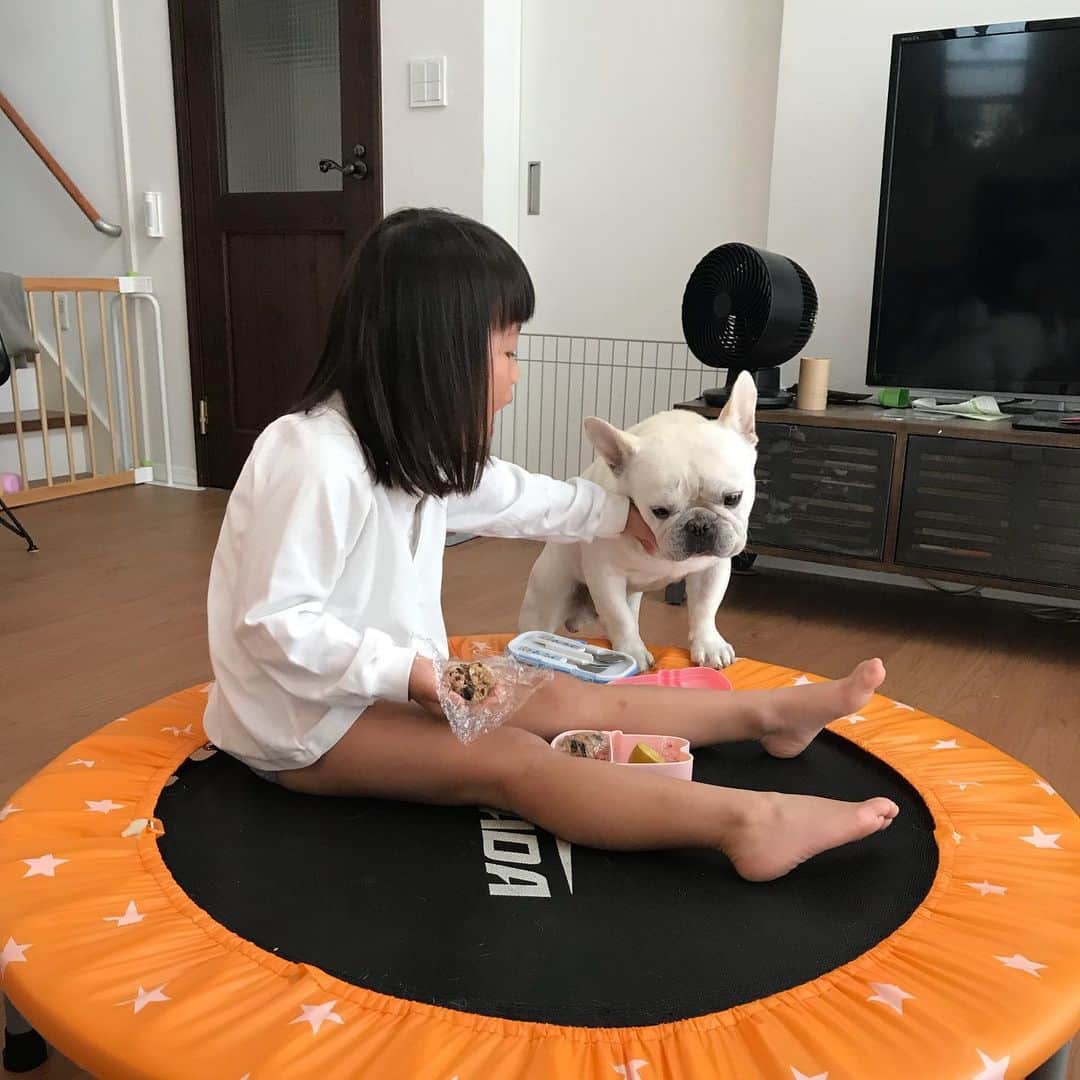 父べえさんのインスタグラム写真 - (父べえInstagram)「一緒に食べたい兄と許さぬ妹。 #どんまいじろべえ」10月3日 9時47分 - fukubee