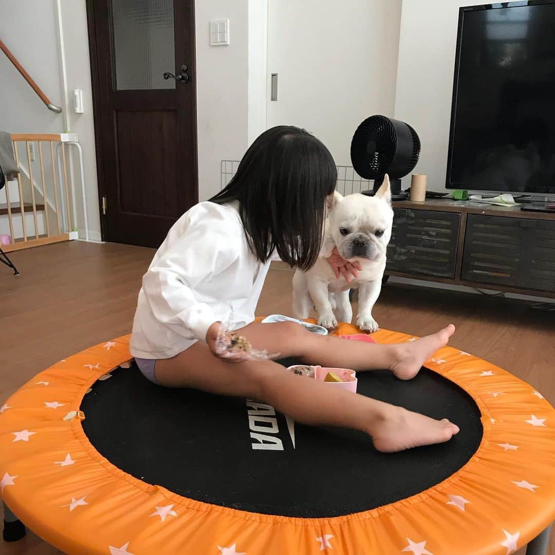 父べえさんのインスタグラム写真 - (父べえInstagram)「一緒に食べたい兄と許さぬ妹。 #どんまいじろべえ」10月3日 9時47分 - fukubee