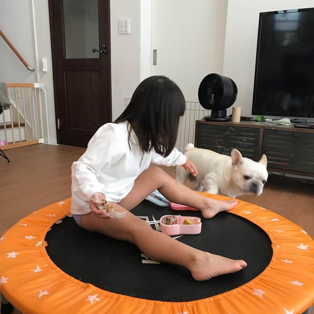 父べえさんのインスタグラム写真 - (父べえInstagram)「一緒に食べたい兄と許さぬ妹。 #どんまいじろべえ」10月3日 9時47分 - fukubee