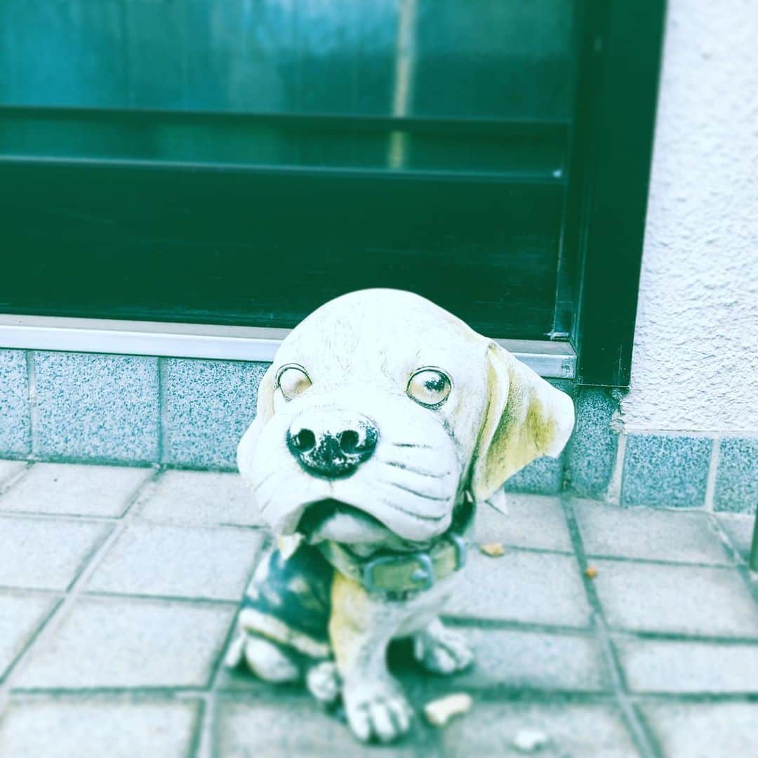 中野敬久さんのインスタグラム写真 - (中野敬久Instagram)「#dog #statue #bigface #lookingout」10月3日 10時11分 - hirohisanakano