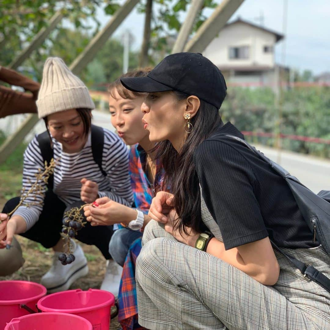 瑞羽奏都（水谷美月）さんのインスタグラム写真 - (瑞羽奏都（水谷美月）Instagram)「ちょっくら山梨の方へぶどう🍇狩りに行って来ました🚌  久しぶりの5時代の早起き。 眠いはずなのに…バスの中では笑いが絶えず…かと思えば、一瞬で寝静まる(笑) かなり楽しい日帰りバスツアーでした🎶  かなりの枚数、写真撮ったので…しつこくUPします😅 お付き合い下さいませ…。 ・ #ぶどう狩り #ぶどう狩り食べ放題  #見晴らし園 #山梨  #バスツアー #日帰り #ステキな仲間  #ポートレート」10月3日 20時28分 - mizuki.m_mizuha