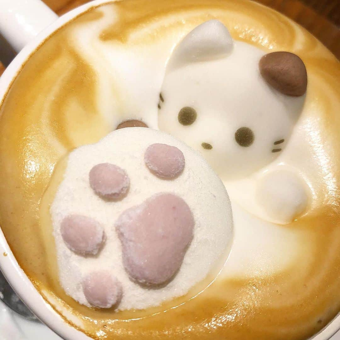 小澤しぇいんさんのインスタグラム写真 - (小澤しぇいんInstagram)「猫ラテ🐱☕️ にゃ〜やめてにゃ〜タスケテェニャァァブブブ。。。」10月3日 21時11分 - 1217_shane