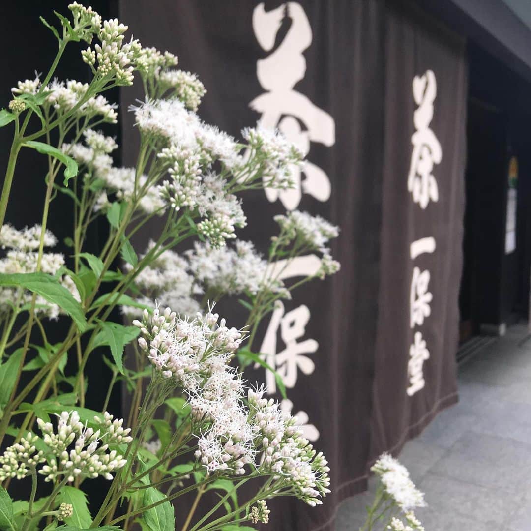 一保堂茶舗のインスタグラム