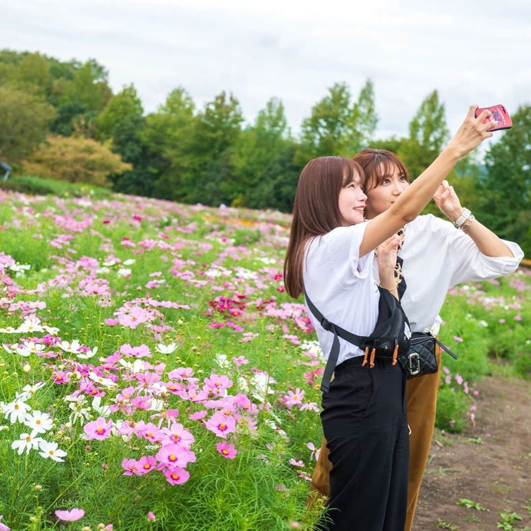 古田ちさこさんのインスタグラム写真 - (古田ちさこInstagram)「三分咲きのコスモス畑〜✨ . #里山の駅ふらり でのマルシェの後には隣接する丘陵公園に立ち寄ってみました。 コスモスが咲き始めていると聞いて、ノリで。🤩笑 . 広々としたエリアにはコスモス以外にも沢山の色鮮やかな草花が植えられていました。 今の時期のメインはコスモスですが、春頃はネモフィラが素敵みたい！ . メルヘンな世界にてんたかちゃんと癒されてきました…💞 ワンちゃん達もはしゃいでいて私たちも犬を飼っているので連れてきたいねって盛り上がったよ☺️ . 満開になったらすごいんだろうなー✨✨✨ . #コスモス畑#コスモス#国営備北丘陵公園  #庄原#里山の駅庄原ふらり#広島県庄原市#広島観光#広島グルメ#庄原グルメ#hiroshimajapan#hiroshima#庄原カフェ#備北丘陵公園#備北#備北北公園#丘陵公園#肉マルシェ#パンマルシェ#食欲の秋#テンション高野#相棒」10月3日 15時14分 - chisakofuruta