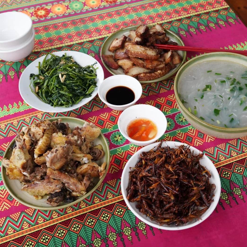 小林希さんのインスタグラム写真 - (小林希Instagram)「ベトナムのサパで現地の家族に作ってもらった朝ごはん。 右下の茶色の盛りっとしたのは、昨夜とってきたバッタさんだって。カリッとしてたので、食べれました。田園の味がしました。 あと、フォーはサパではご飯と一緒に食べるそうです。ライスヌードルオンライス。 あとは、その辺にいた鶏と豚さんだと言ってました。どれもが新鮮。 ご馳走さまでした🙏  #journey #viaje #voyage #travel #japan #旅 #旅女 #トラベル#週末海外#ベトナム#サパ #sapa#vietnam #朝ご飯 #地元飯」10月3日 17時45分 - nozokoneko