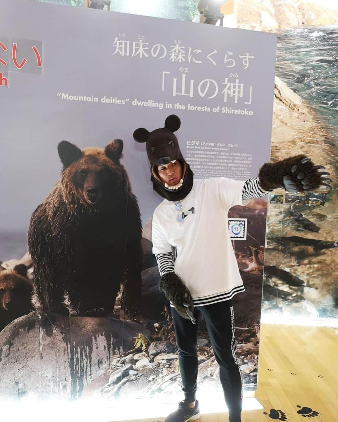 城戸康裕さんのインスタグラム写真 - (城戸康裕Instagram)「世界遺産、知床きた😆✨ ・ 超大自然🌳🌳 ・ ヒグマに会いたかったけど会えなかったから、道案内だけしといた🧸笑 ・ 世界遺産☆53 ・ #城戸遺産 ・ 2019.10.3◉ 知床 《日本・北海道》 ・ #知床 #shiretoko #知床五湖 #🇯🇵 #オシンコシンの滝  #worldheritage @diviner_official #北海道」10月3日 18時34分 - yasuhiro.kido