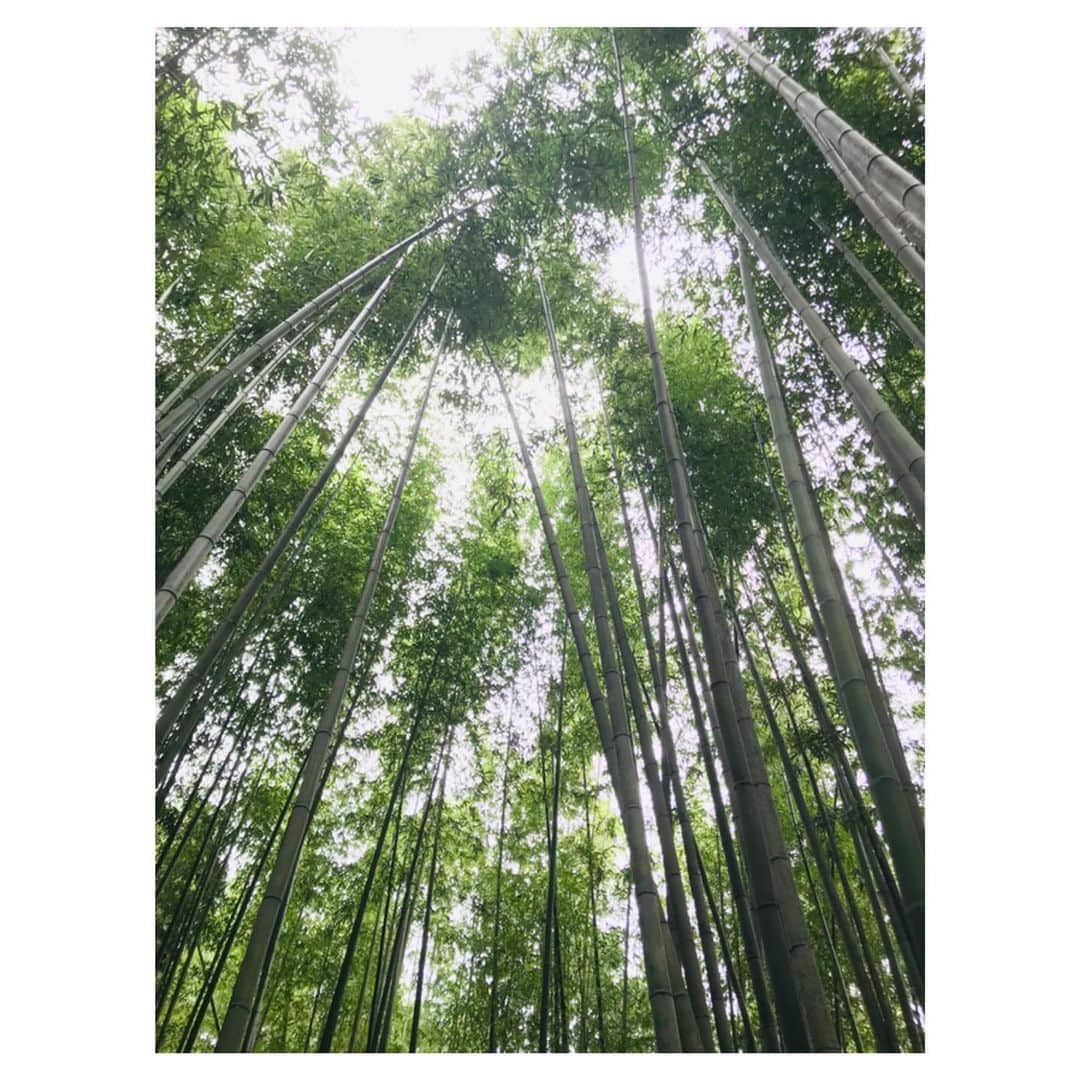 香音有希さんのインスタグラム写真 - (香音有希Instagram)「お馴染みの仲間たちと行く旅行✨ 今回は第4弾(*´-`) 京都まで行ってきました..‼︎ 気持ちの良い風景、行ってみたかった嵐山の竹林、美味しい和スイーツ..✨ そして何と言ってもメインは止まらないトーク😆 リラックス状態が凄いみたいで眠気も止まらなくて隙あらば寝る私😂ww そんな緩さも許してくれる仲間たちに感謝╰(*´︶`*)╯♡ 充電完了。また東京で頑張るぞ~🔥🔥 . . #旅#女子旅#お馴染みメンバー #第4弾#秋の京都#かなり残暑だった京都#お天気がもってくれてよかった☺️ #嵐山#竹林の小径#凄い髪の毛伸びた😲 #叡電#癒される風景 #わらび餅#そしてわらび餅あんみつ #たこ焼きみたいなお好み焼き#しばらく脳が停止した」10月3日 19時44分 - kaonyuki_yukako