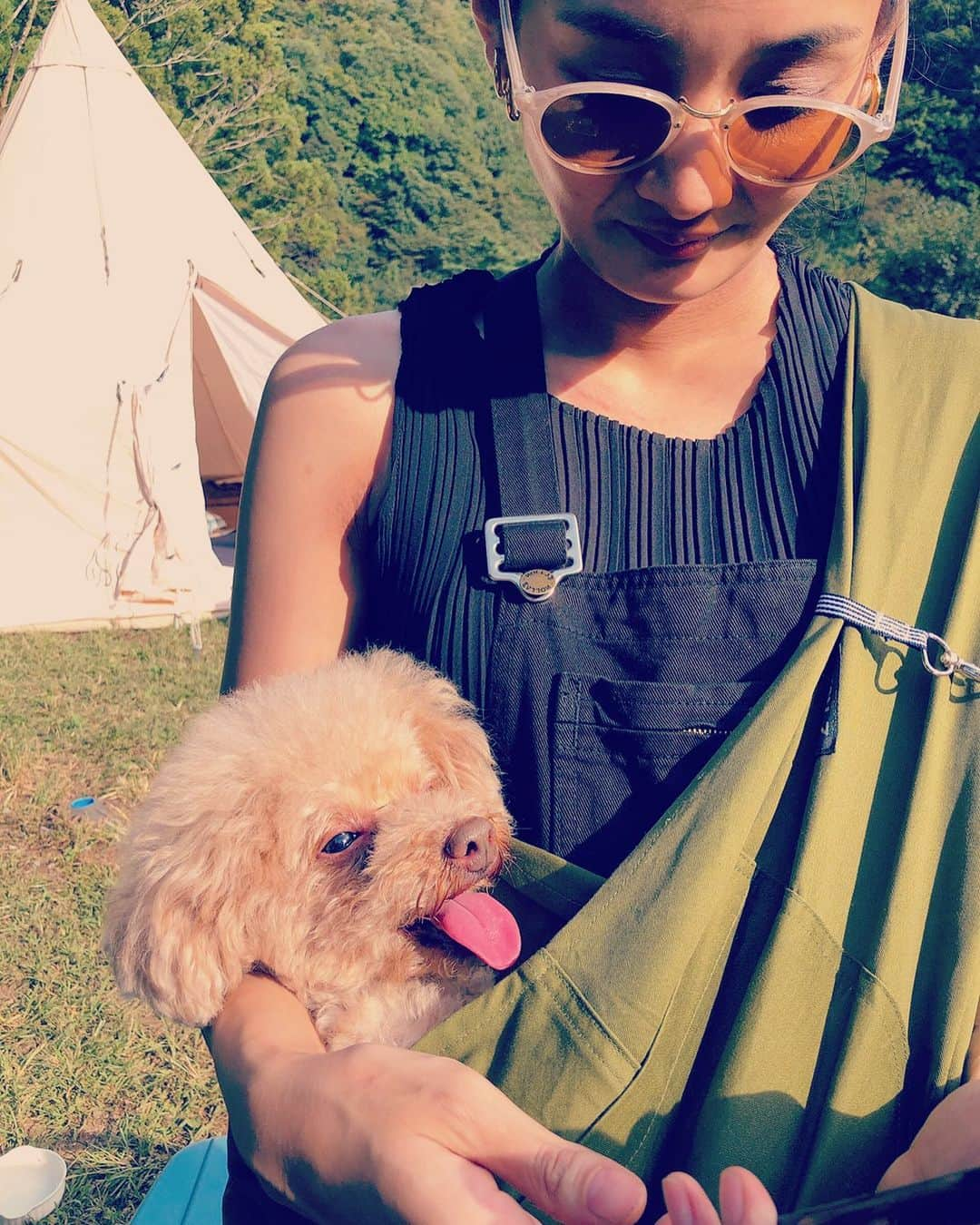 松浦みなみさんのインスタグラム写真 - (松浦みなみInstagram)「:) らぶ。 #dog #toypoodle #dogstagram  #dogsleepy #doglovers #camp #camper #jam  #rollasjeans #overalls #salopette」10月3日 22時21分 - 373_matsuura