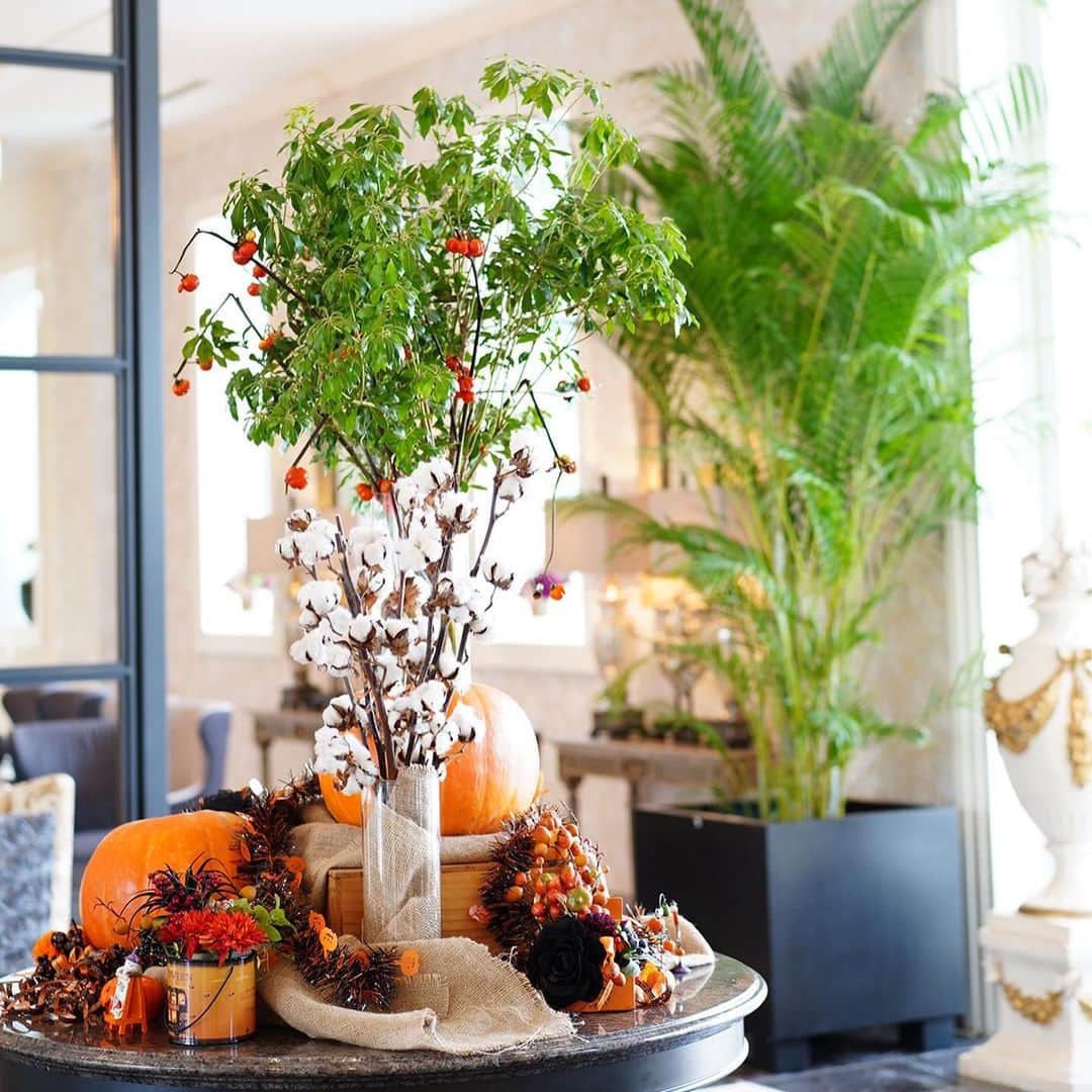 木嶋菜穂子のグルメインスタ