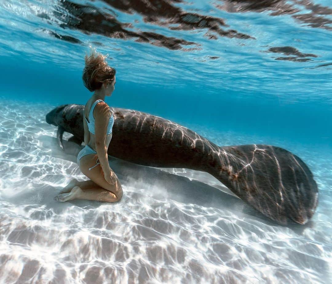 サシャ・カリスのインスタグラム：「Can you name this animal? One of my favorite sea creatures! 💙💦」