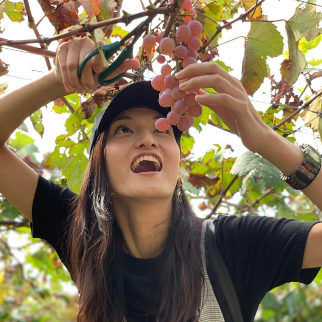 瑞羽奏都（水谷美月）さんのインスタグラム写真 - (瑞羽奏都（水谷美月）Instagram)「人生初のぶどう狩り🍇 巨人軍にとっては、ぶどう狩りは体勢が少々キツイ… ひたすら『く』の字で畑を歩行(笑)  #ぶどう狩り #ぶどう狩り食べ放題  #見晴らし園 #山梨  #バスツアー #日帰り #ポートレート」10月4日 8時23分 - mizuki.m_mizuha