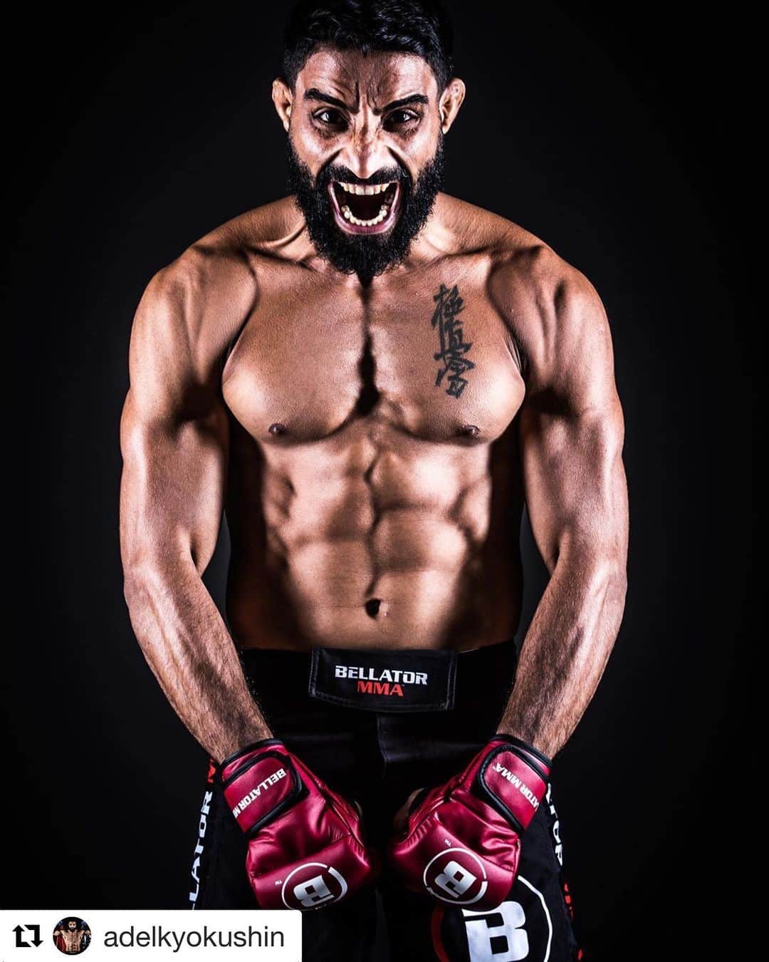 クリス・プラットのインスタグラム：「Wish so badly I could be there with you tomorrow my brother! Everyone be sure to watch my friend @adelkyokushin tomorrow as he continues his path toward greatness in the ring. His extraordinary story is just beginning. @bellatormma #godisgood」