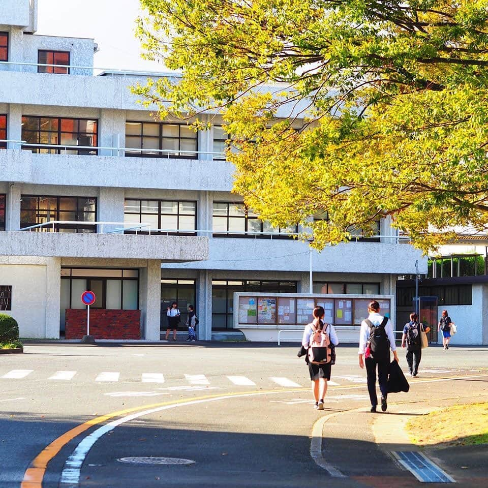 福岡女子短期大学さんのインスタグラム写真 - (福岡女子短期大学Instagram)「@福岡女子短期大学 おはようございます。福岡女子短期大学です。 . キャンパス内の木々や草花から 秋らしさを感じるようになりました。 . 熟した銀杏や色づき始めた柿、 福女短生の服装もすっかり秋服です。 . １年生は今日はキャリアガイダンスということで 全員スーツ姿で通学しています。 . 正門からキャンパスへと続く坂道は 暑かったようでジャケットを脱いで 通学している学生も多かったです。 . 今日も一にいい日になりますように。 . ========[ 資料請求 ]======== . 福岡女子短期大学の大学案内📕を無料送付中です。お気軽に申し込みください🌟 . 子ども学科/健康栄養学科 音楽科/文化教養学科 . 福岡女子短期大学 住所：‪‪‪福岡県太宰府市五条四丁目16番1号‬‬‬ tel：‪‪‪092-922-4034‬‬‬（代表） ======================= . #太宰府 #秋 #銀杏 #秋を感じる #ロケハン #一期一会の空 #10月4日の空 #10月4日 #秋空 #夏と秋のあいだの季節 #白い雲 #写真好きな人と繋がりたい #ファインダー越しの私の世界 #写真で伝えたい私の世界 #福岡女子短期大学 #福女短 #短大 #withoutyou . #イチョウ #いちょう #秋らしい」10月4日 10時02分 - fukuoka_wjc