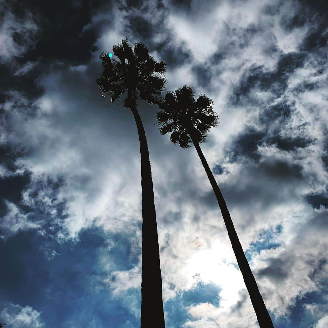 ハル・ベリーさんのインスタグラム写真 - (ハル・ベリーInstagram)「Enjoy the silence. ✨」10月4日 10時23分 - halleberry