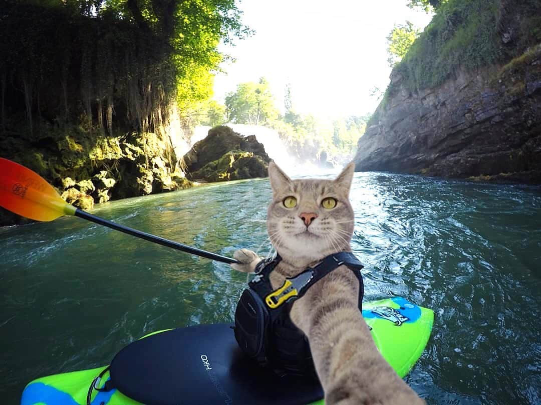 マニーのインスタグラム：「Have a Good Weekend! 😹 Going camping, hiking, and kayaking this weekend... see ya next week ✌️ #GoPro #tbt」