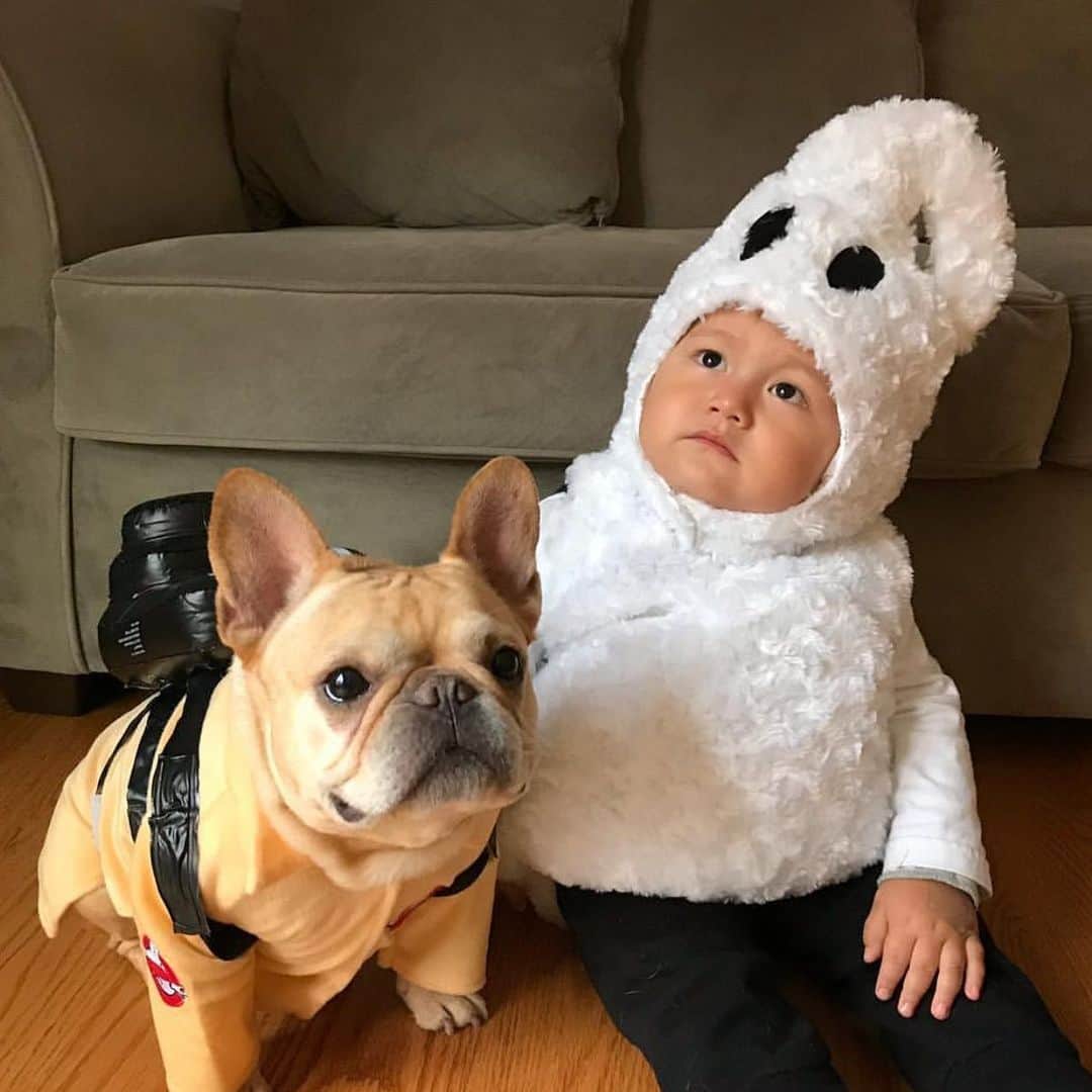 Hamlinのインスタグラム：「Gotta love the month of October! Halloween is right around the corner. What’s everyone going to dress up as this year? #tb .......... #halloween #halloweencostume」