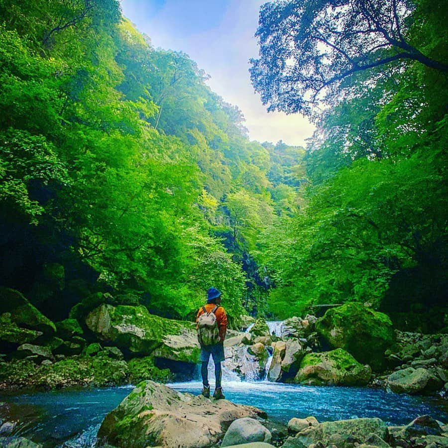 ダイスケさんのインスタグラム写真 - (ダイスケInstagram)「今週は沢歩き@栃木県 「スッカンブルー」と呼ばれる綺麗な青色のすっかん沢に行ってきました。 雰囲気はシダが生い茂っていて大きな岩がごろごろしててジュラ感強め！ そして蛇がいたり脚の長いクモがいたり猿が山から見下ろしていたり鹿の親子が横切ったりとアニマル遭遇率も高めでした。(熊もいるらしい!!) メインの雄飛の滝にたどりつくまでに道をはずれてしまい中々の岩場を歩きまくって感じたこと、  しっかりした靴が欲しい！！ ピレニーズ一本でやってきたぼくの登山&ハイクですが、近いうちにずっと行きたかった、作ってもらいたかったレジェンド登山靴屋さんに行ってみたいと思います。  #スッカン沢 #栃木県 #スッカンブルー #雄飛の滝 #お昼ごはんはタンドリーチキンのせカレー #だんだん日の入り時間が早くなってきてるから気をつけないとね #外遊び #冬のスッカン沢は氷の世界らしい #いってみたい #ダイスケ #旅」10月4日 13時44分 - daisukekatayama_official