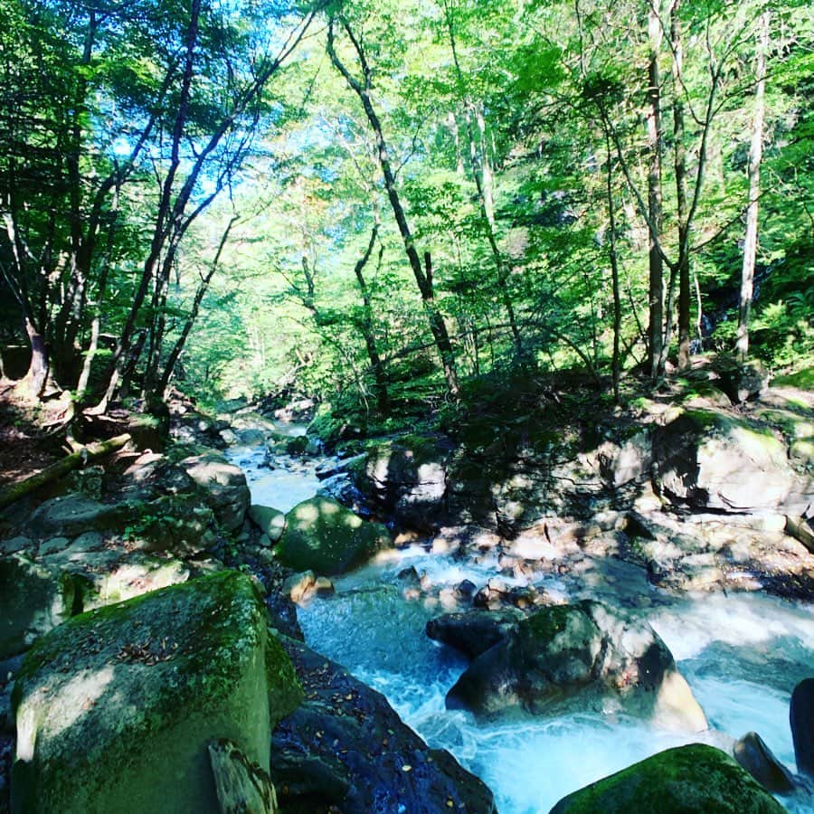 ダイスケさんのインスタグラム写真 - (ダイスケInstagram)「今週は沢歩き@栃木県 「スッカンブルー」と呼ばれる綺麗な青色のすっかん沢に行ってきました。 雰囲気はシダが生い茂っていて大きな岩がごろごろしててジュラ感強め！ そして蛇がいたり脚の長いクモがいたり猿が山から見下ろしていたり鹿の親子が横切ったりとアニマル遭遇率も高めでした。(熊もいるらしい!!) メインの雄飛の滝にたどりつくまでに道をはずれてしまい中々の岩場を歩きまくって感じたこと、  しっかりした靴が欲しい！！ ピレニーズ一本でやってきたぼくの登山&ハイクですが、近いうちにずっと行きたかった、作ってもらいたかったレジェンド登山靴屋さんに行ってみたいと思います。  #スッカン沢 #栃木県 #スッカンブルー #雄飛の滝 #お昼ごはんはタンドリーチキンのせカレー #だんだん日の入り時間が早くなってきてるから気をつけないとね #外遊び #冬のスッカン沢は氷の世界らしい #いってみたい #ダイスケ #旅」10月4日 13時44分 - daisukekatayama_official