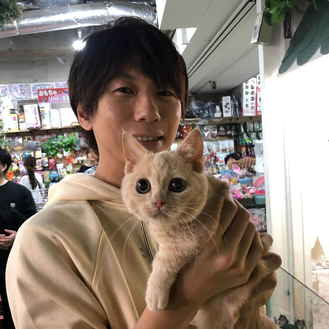 古市憲寿さんのインスタグラム写真 - (古市憲寿Instagram)「例の猫さん。」10月4日 13時40分 - poe1985